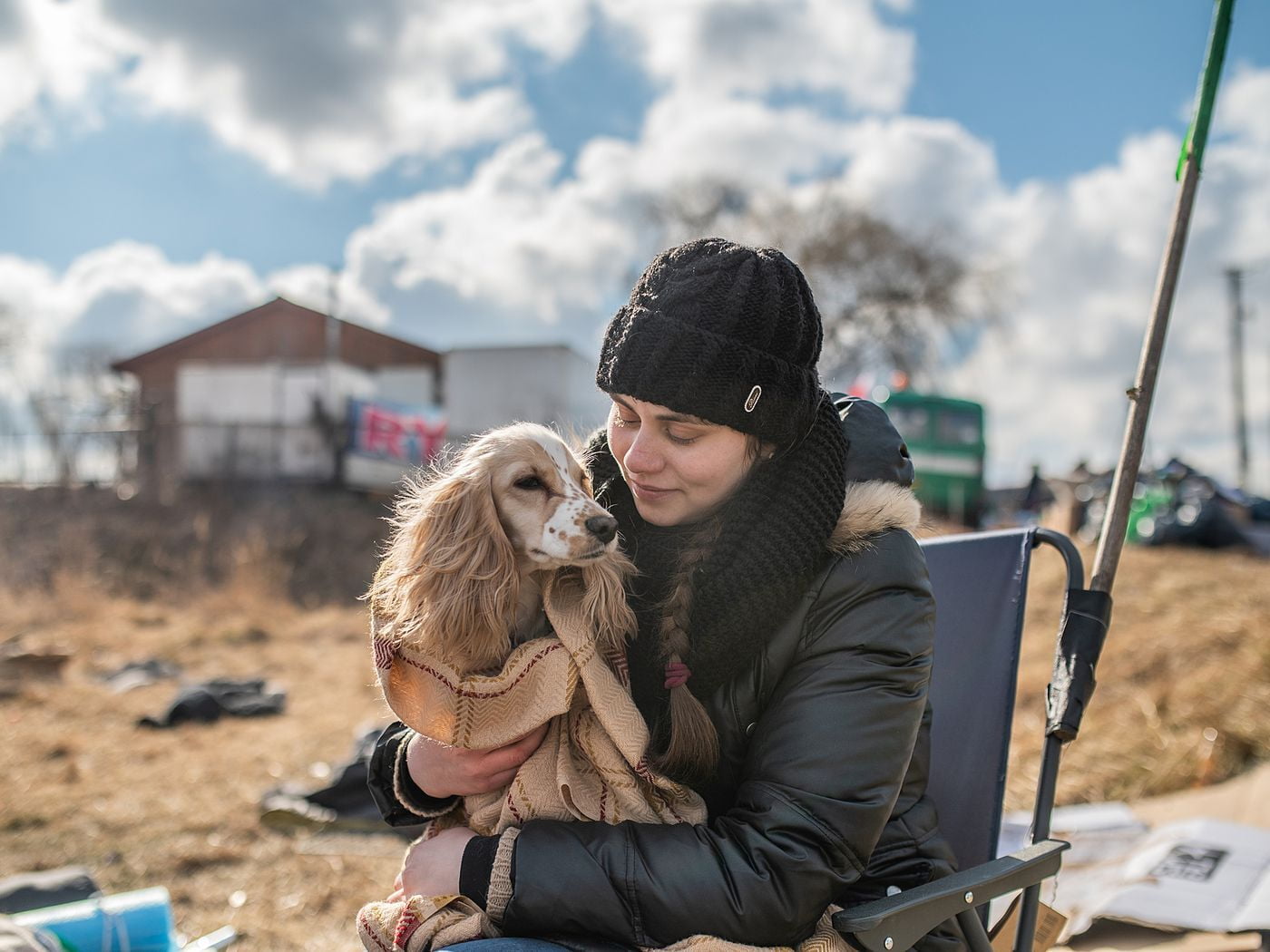 Допомога тваринам в Україні