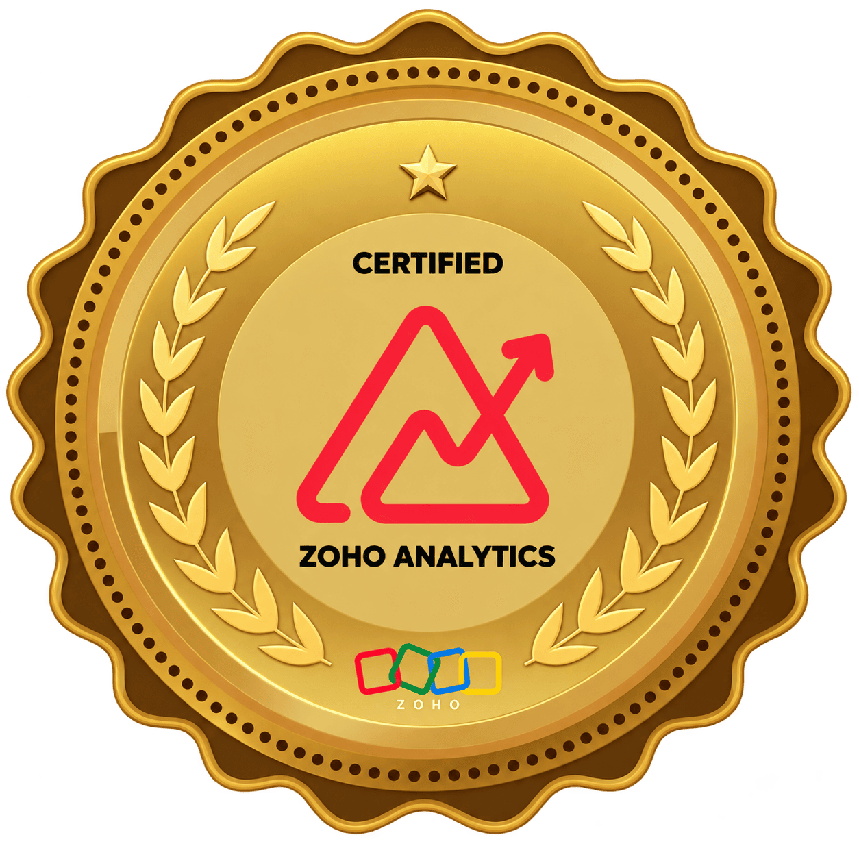 сертифікований zoho analytics